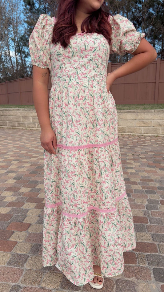 Rosa Reverie Maxi Dress