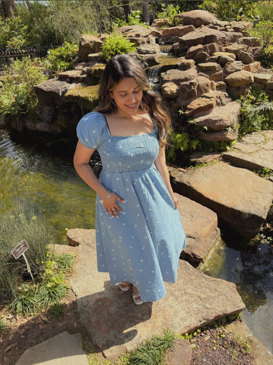 Zadie Denim Midi Dress