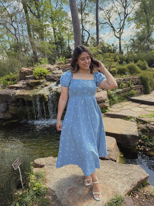 Zadie Denim Midi Dress