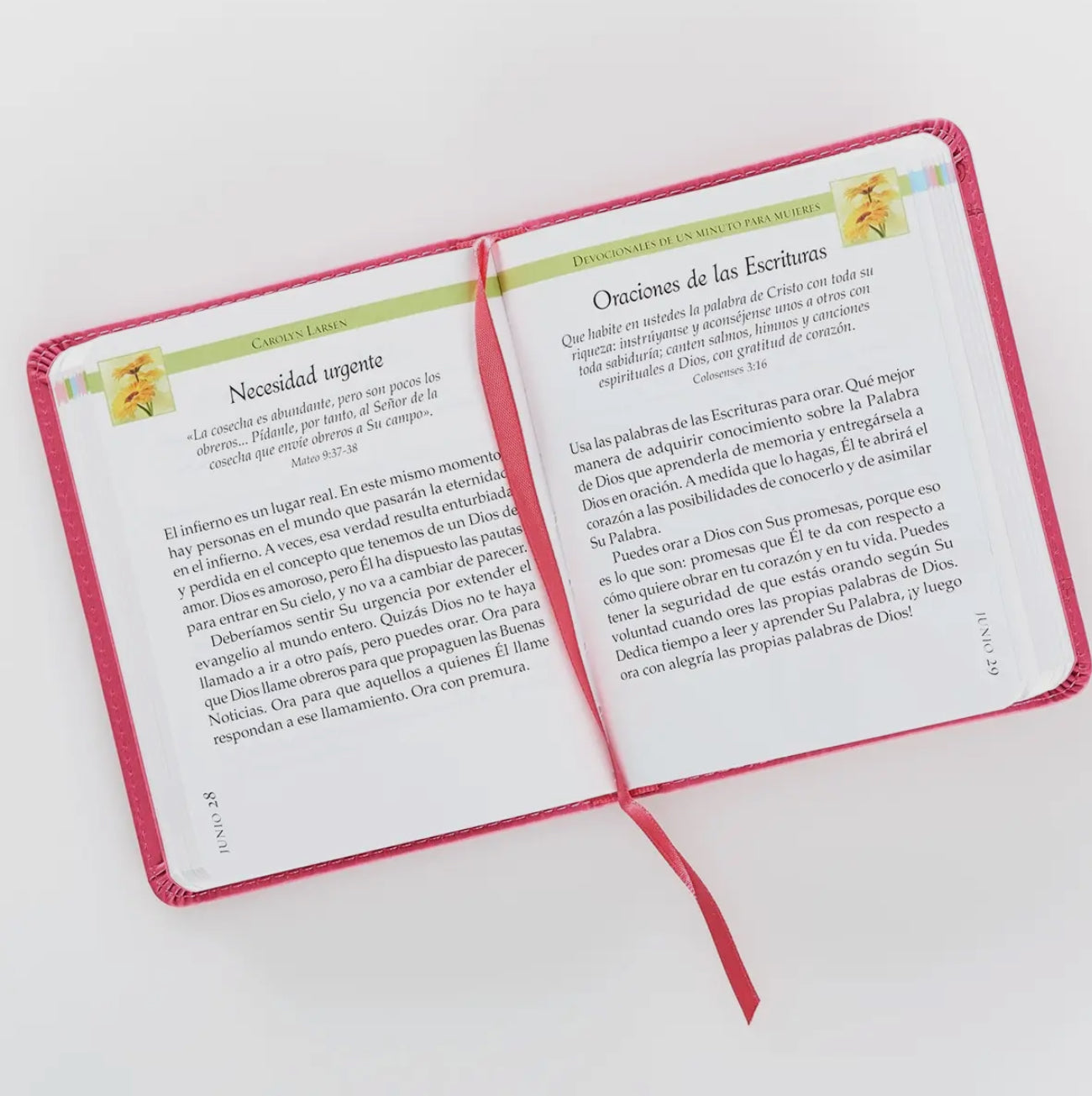 Devocionales De Un Minuto para Mujeres