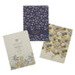 Kind Words Prov. 16:24 Notebook Set of 3