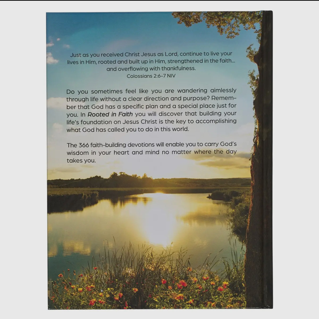 Devotional Rooted In Faith