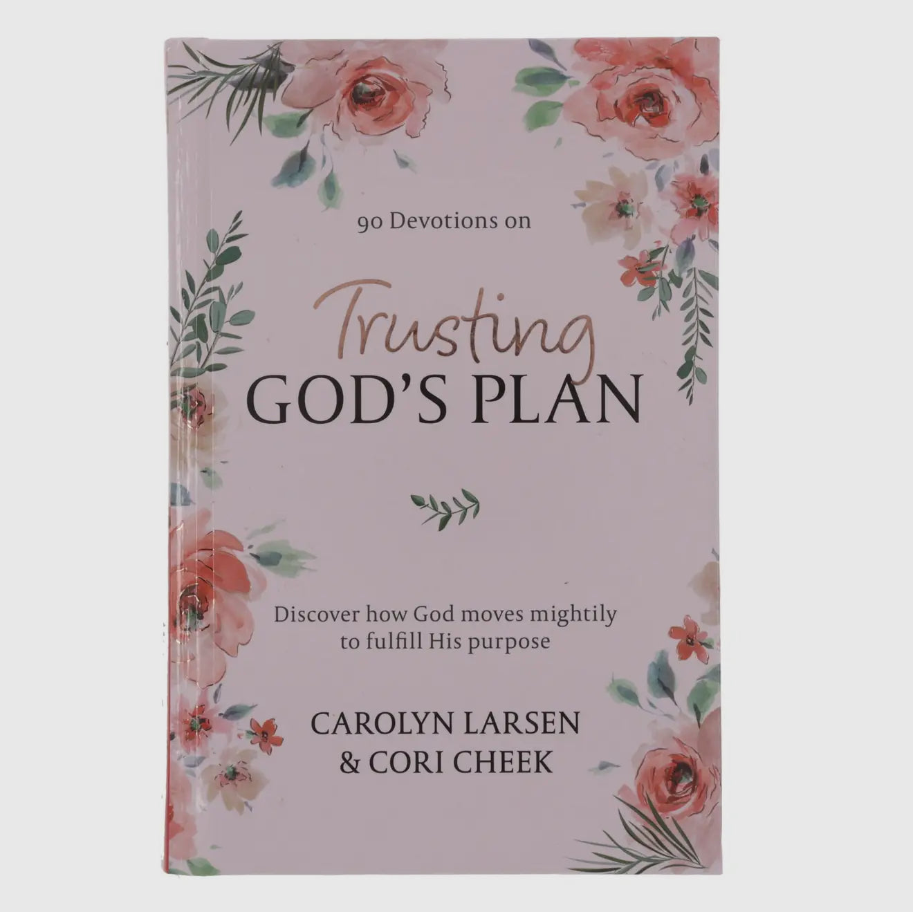 Trusting God's Plan