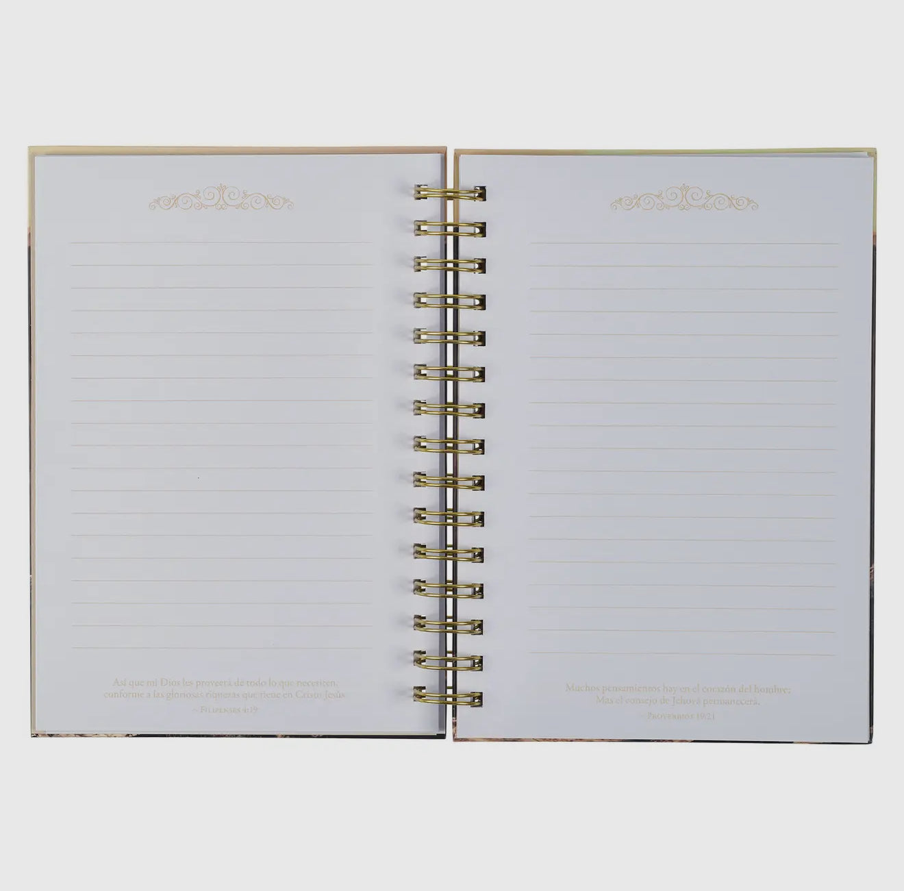 Para Dios Todo es Possible ( Diario )