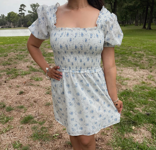 Seaside Romance Mini Dress